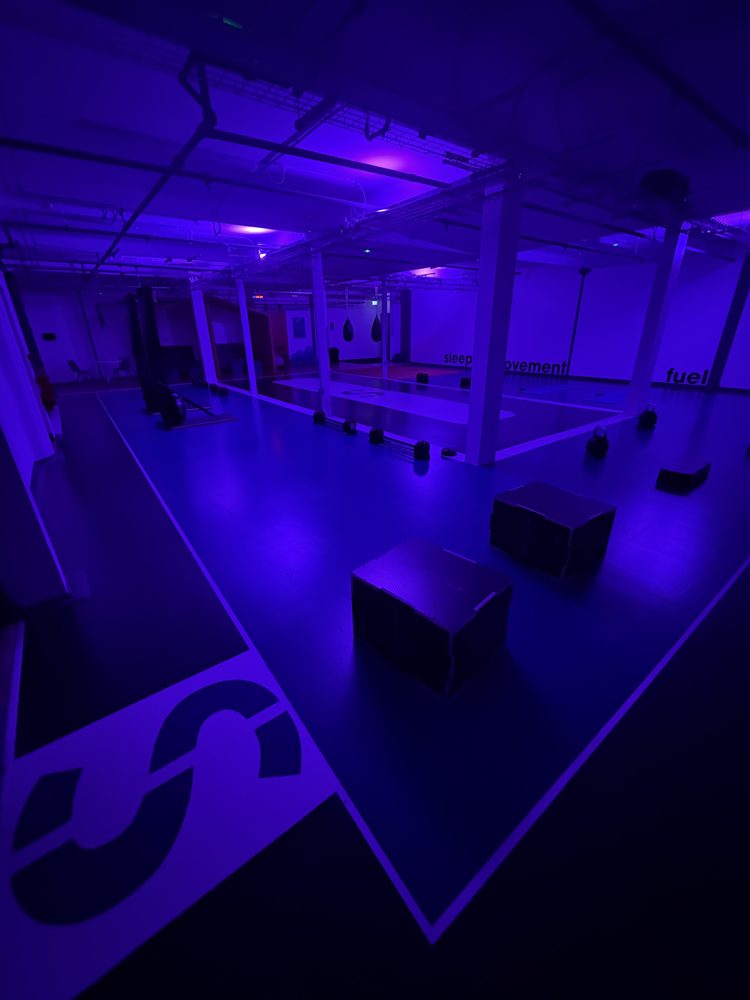 The gym with kettlebells, plyo boxes and punch bags